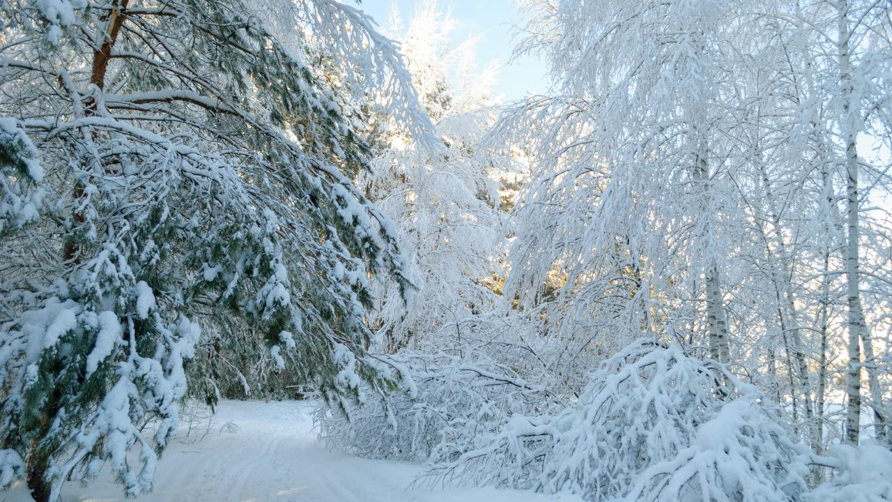 Buffalo, NY Weather: Slick Roads Possible as Rain Turns to Snow Overnight Across Western New York