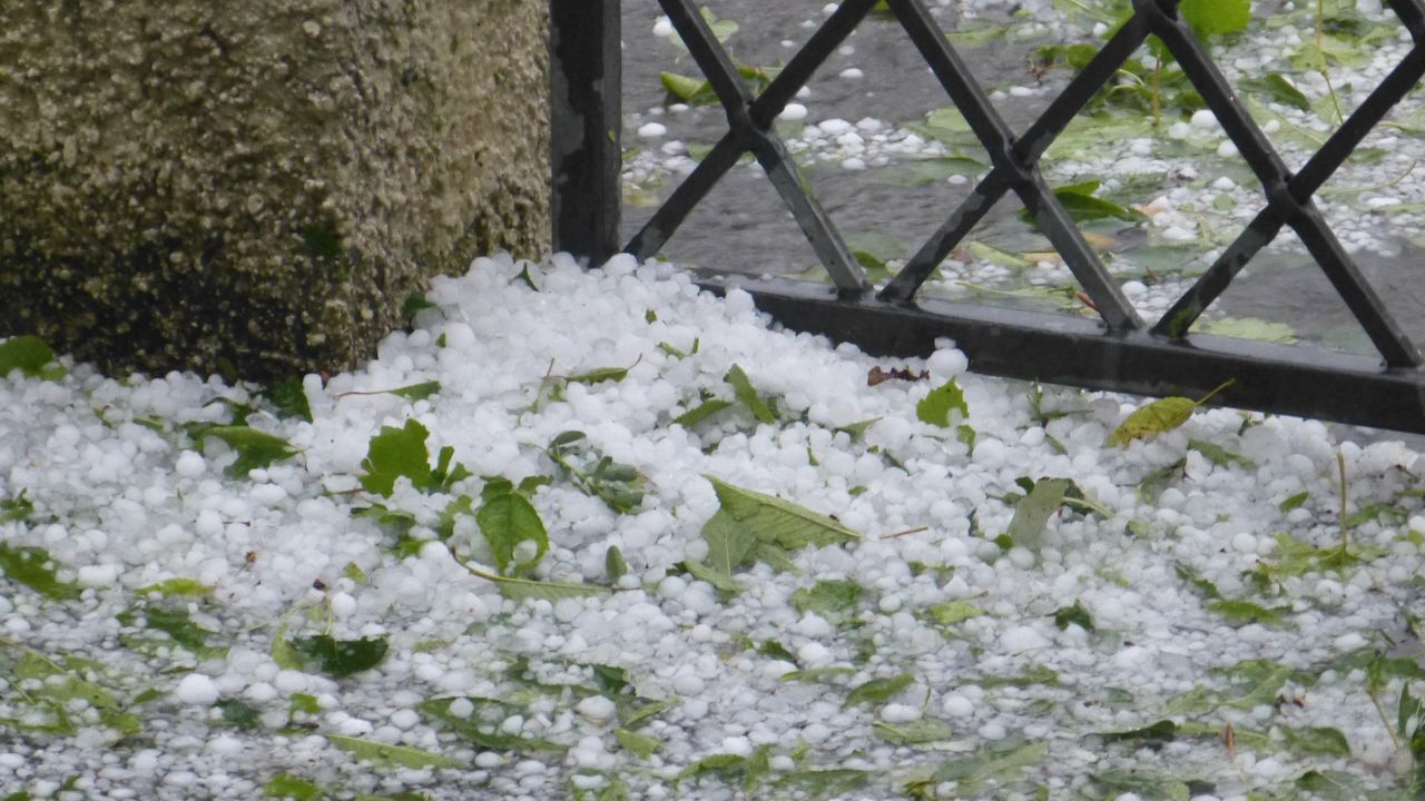 Michigan Weather Alert: Freezing Rain Creates Icy Roads in the Thumb and Tri-Cities Through Early Afternoon