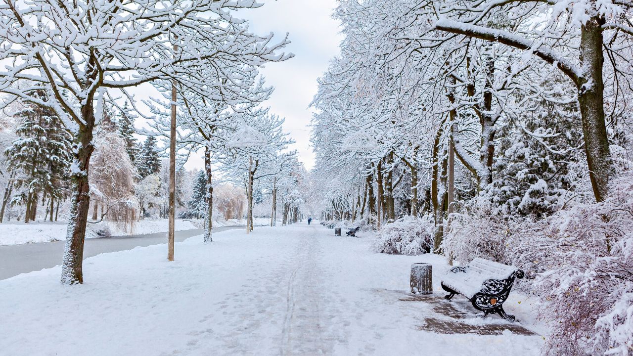 Southern Oregon Snow Alert: Hazardous Travel Expected in Klamath Basin and Siskiyou Mountains Through Thursday