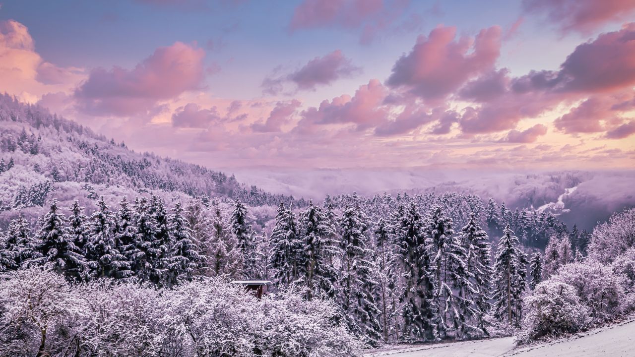 Washington Weather Alert: Olympic Mountains Braced for Heavy Snow, Strong Winds, and Dangerous Travel Conditions
