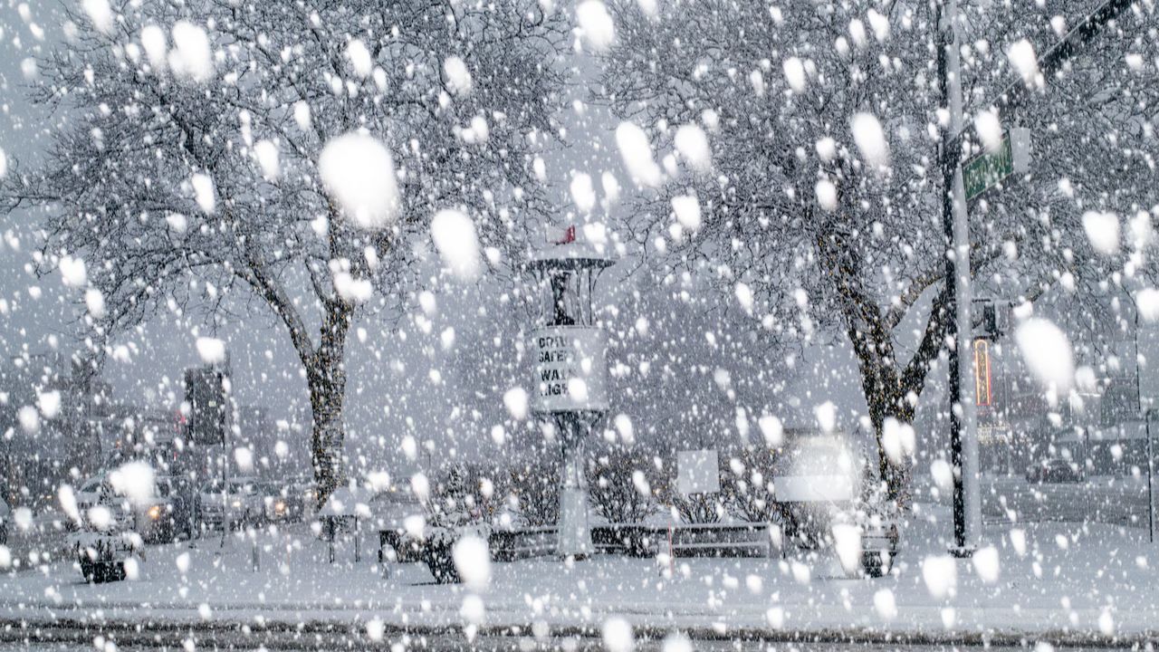 Long Island Braces for Blizzard: Up to 14 Inches of Snow and 55 MPH Winds Expected Sunday Night
