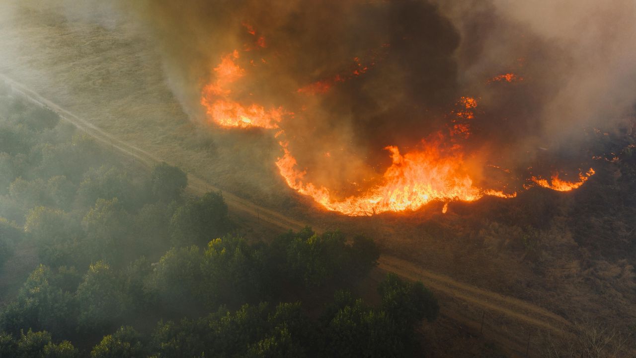 Macon, GA Weather Alert: Elevated Fire Danger Near I-16 Friday as Rain Returns This Weekend