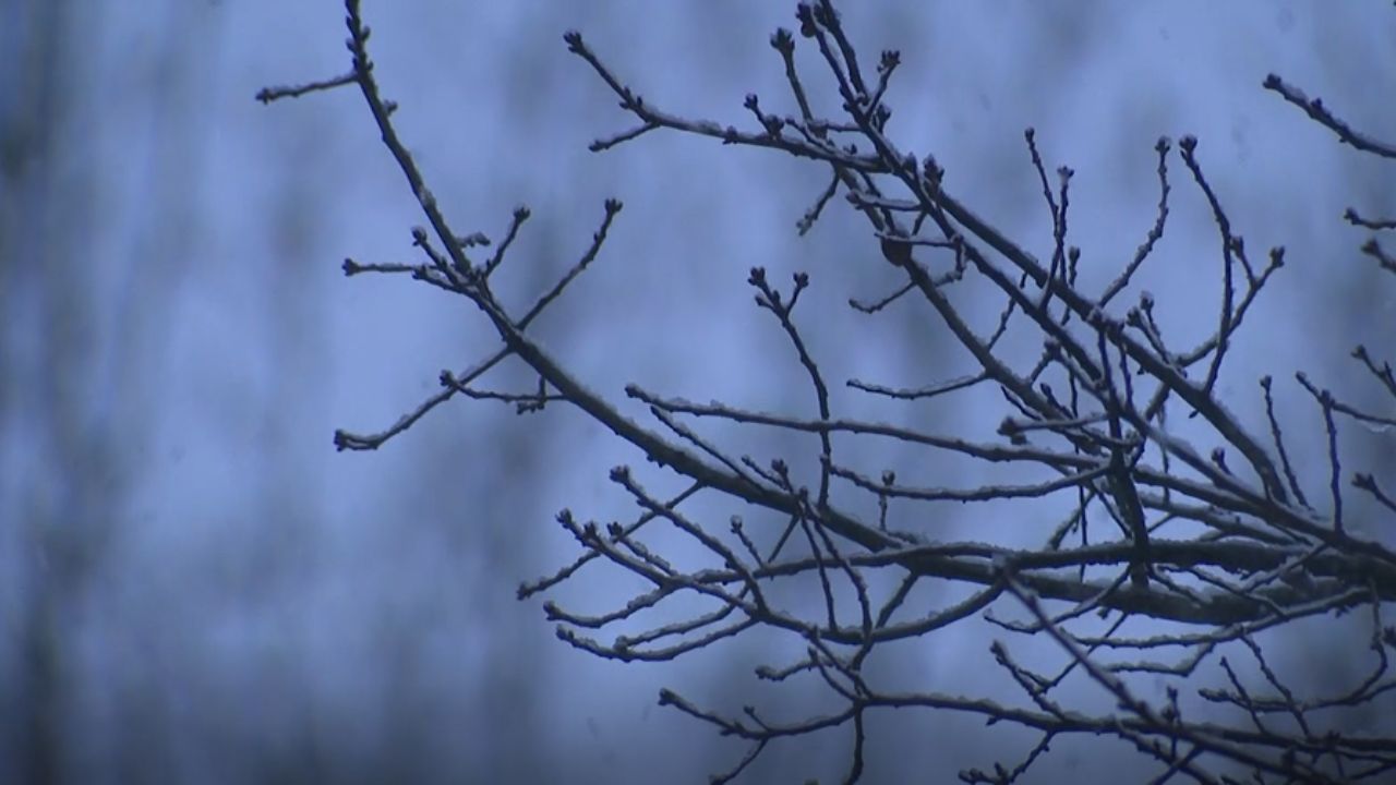 Maryland Gov. Wes Moore Declares State of Emergency as Winter Storm Brings Blizzard Conditions and Travel Warnings