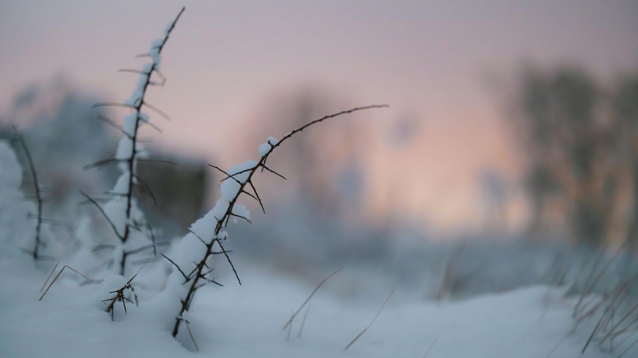 Missouri–Kansas Weather Alert: February Warmth Pushes Kansas City Toward the 70s Before Sharp Cold Front