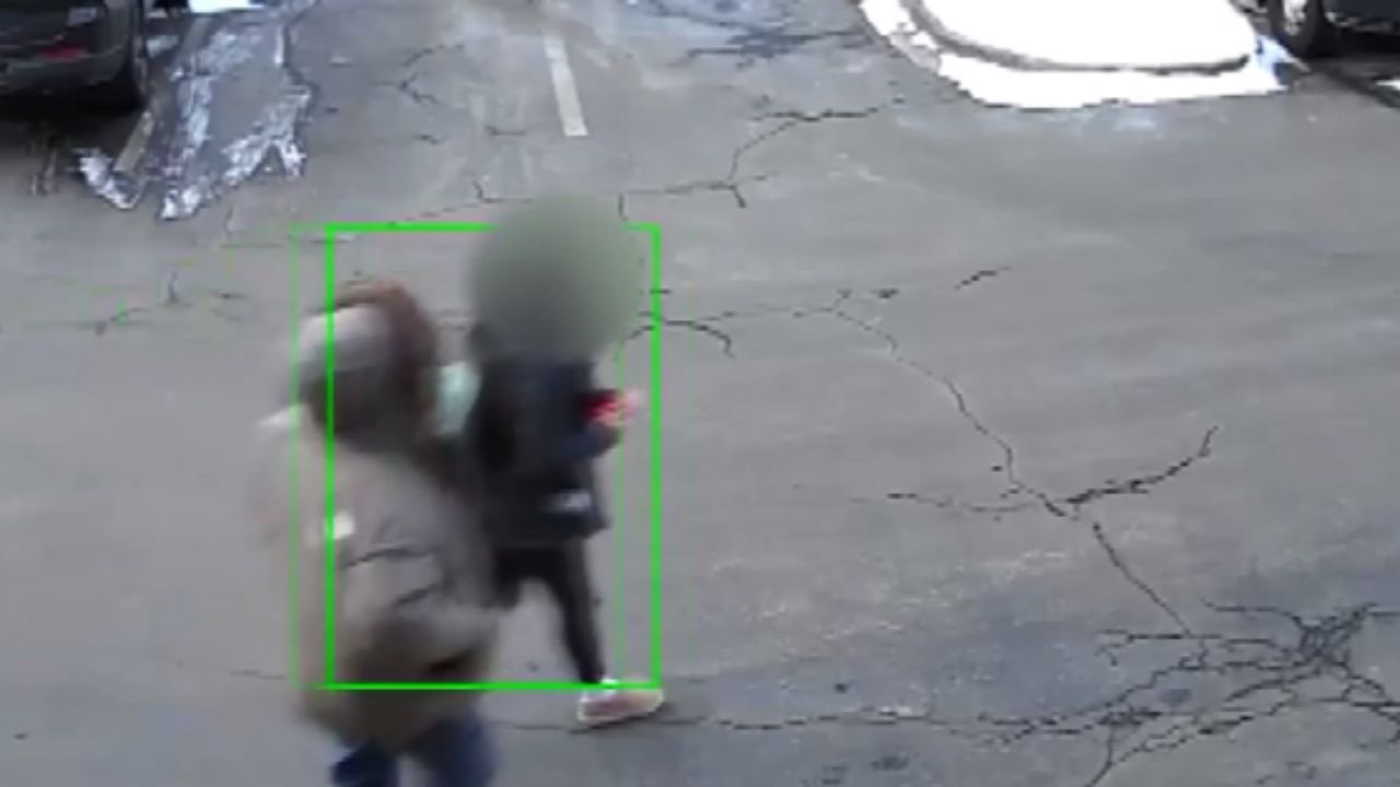 Person of Interest Arrested After Student Grabbed and Robbed Near Palatine Train Station on Way to School