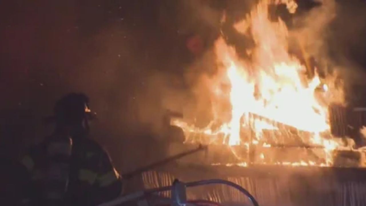 Pittsburgh-Area Farm Devastated After “Deliberate” Hive Fire Kills Tens of Thousands of Bees