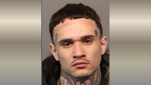 Reno Man Arrested After Vehicle Theft and Standoff in Sparks, Police Say