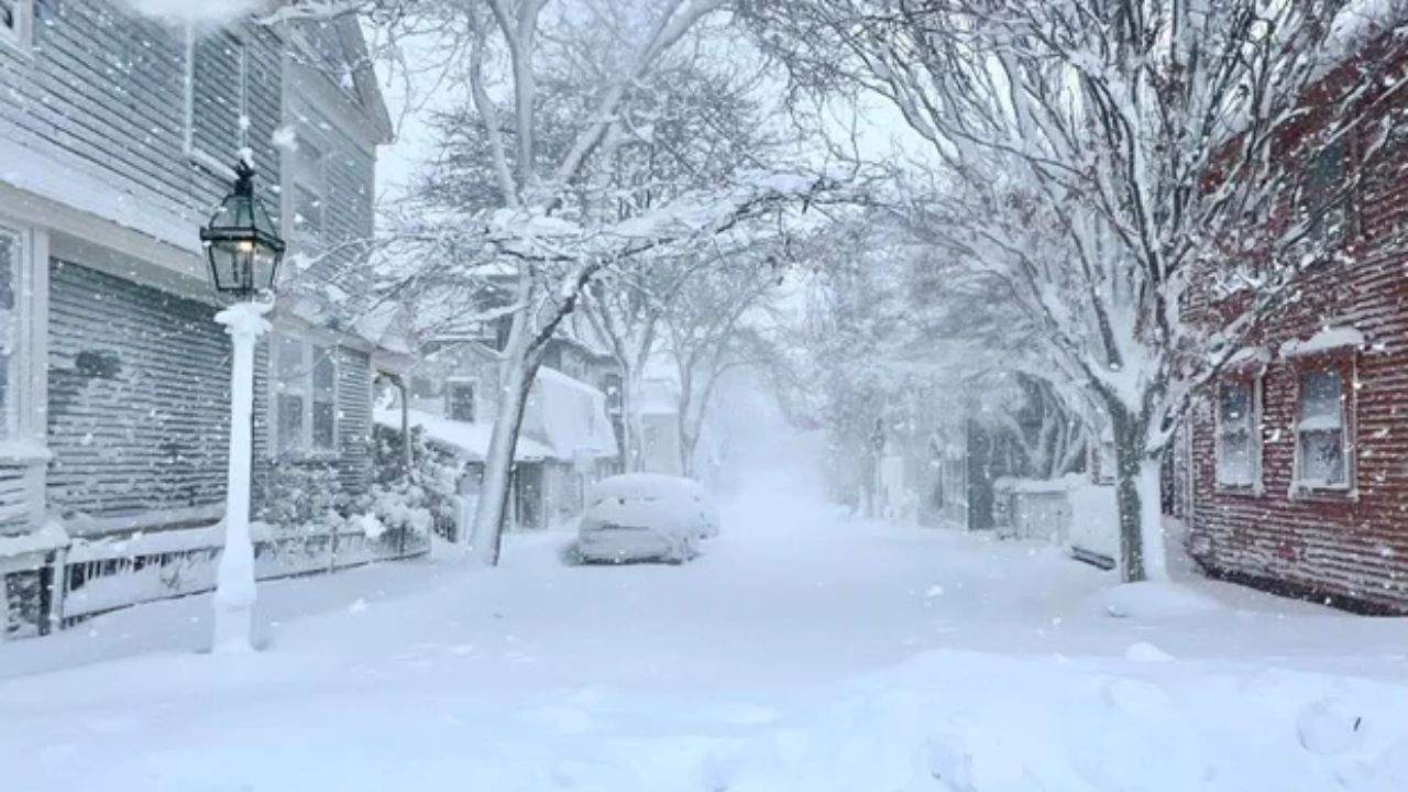 Salve Regina Student Dies of Carbon Monoxide Poisoning in Newport After Charging Phone in Car During Blizzard of 2026