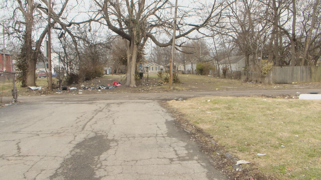 Tennessee Woman Killed After Nissan Sentra Leaves Roadway, Strikes Tree in Allen County Crash