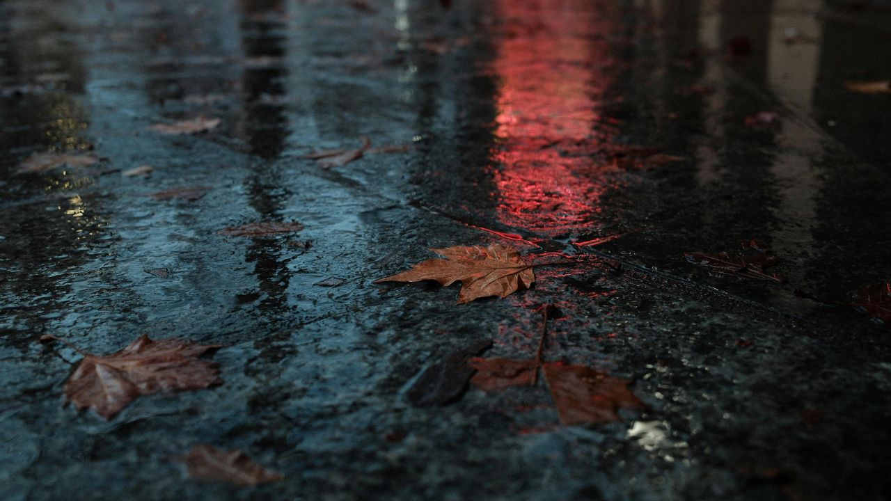 Texas Weather Alert: Rain Chances Return Thursday as Valentine’s Weekend Nears San Antonio
