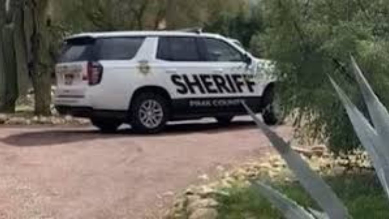 Volunteer Search Intensifies as Hunt for Nancy Guthrie Enters 22nd Day Near Tucson