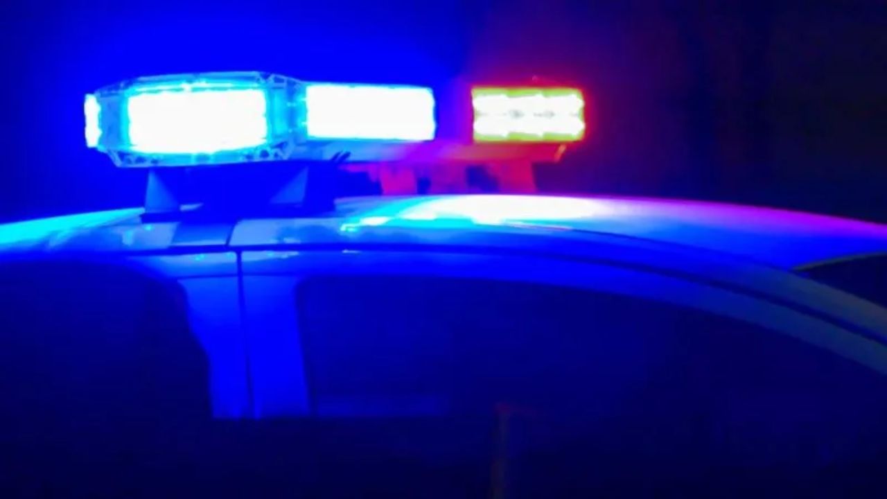 Effingham County Narcotics Raid Uncovers Meth Supply and DMT Lab, Suspect Arrested