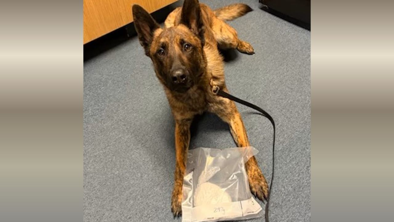 Flushing Man Arrested on I-87 After Police Find Cocaine Near Children in Car