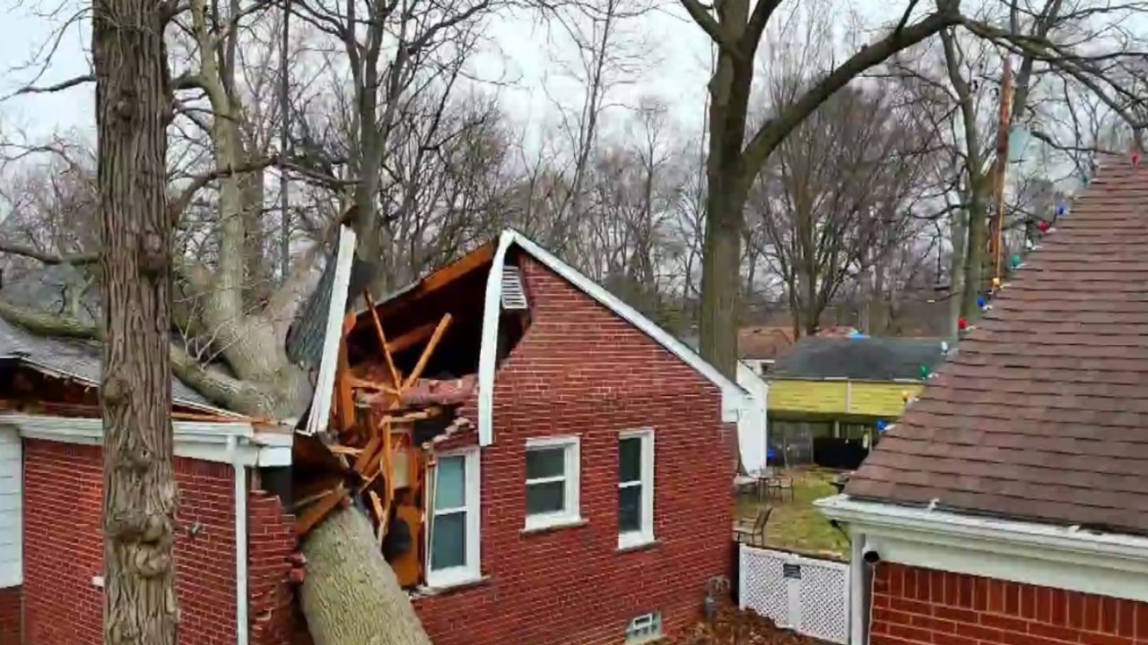 Michigan Man Survives After Massive Tree Splits His Home During Powerful Winds
