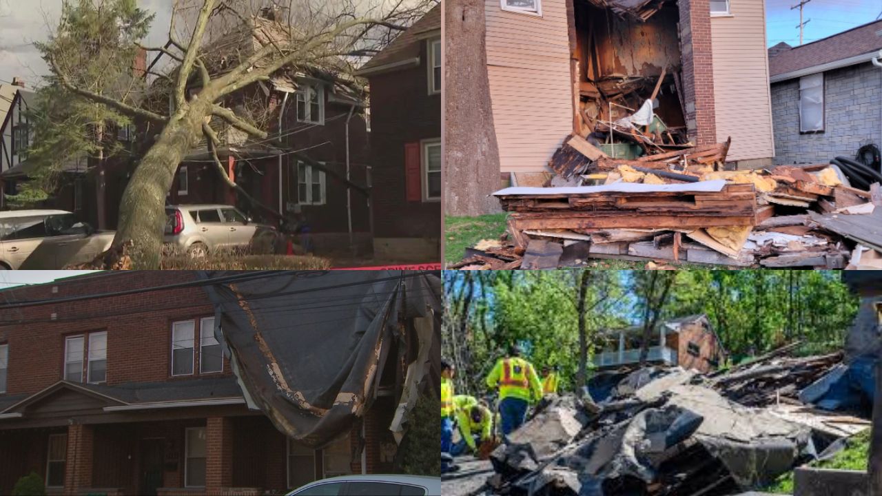 Severe Windstorm Batters Pittsburgh Region, Topples Trees and Cuts Power