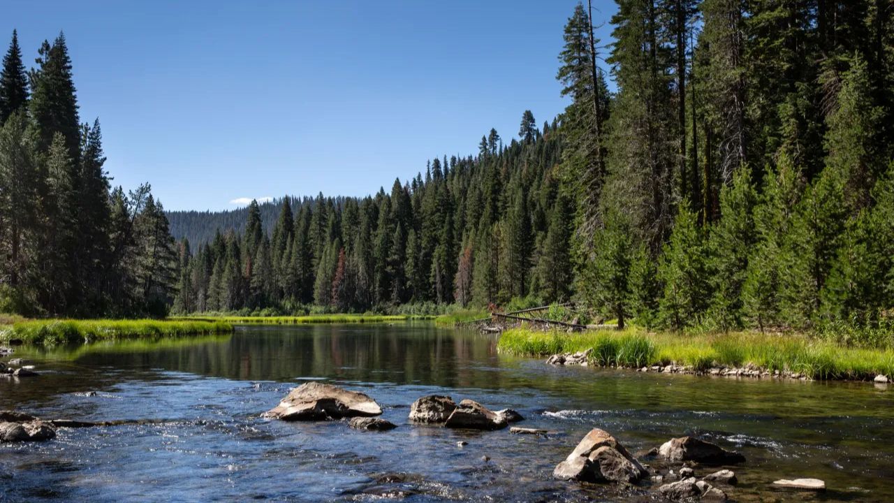 Teen Missing After Entering Frigid Waters of Truckee River Near State Line