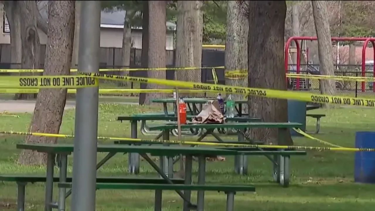 15-Year-Old Killed, 2 Injured in Shooting at Eisenhower Park BBQ Gathering