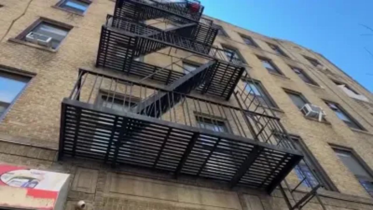 5-Year-Old Boy Survives Fall From Third-Floor Window in Bronx, Remains Alert