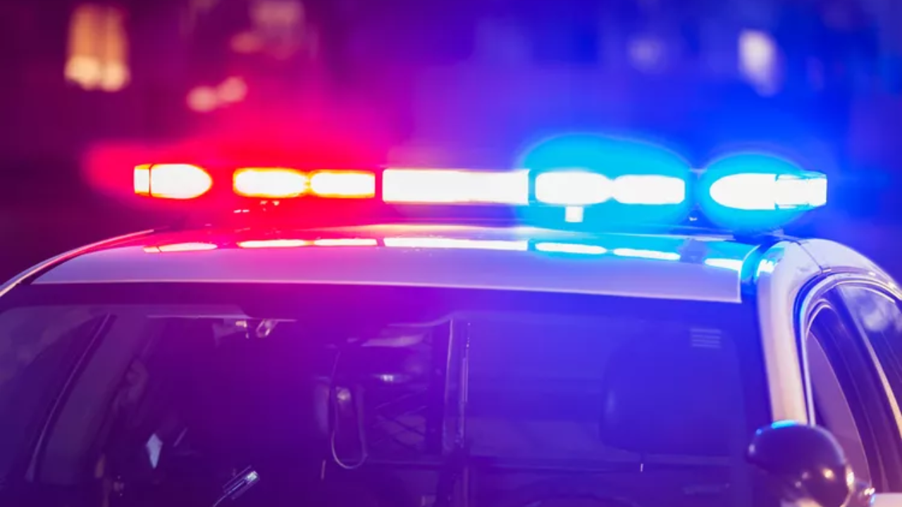 7-Month-Old Baby Dies, Mother Injured After Family Dog Attack Inside Home