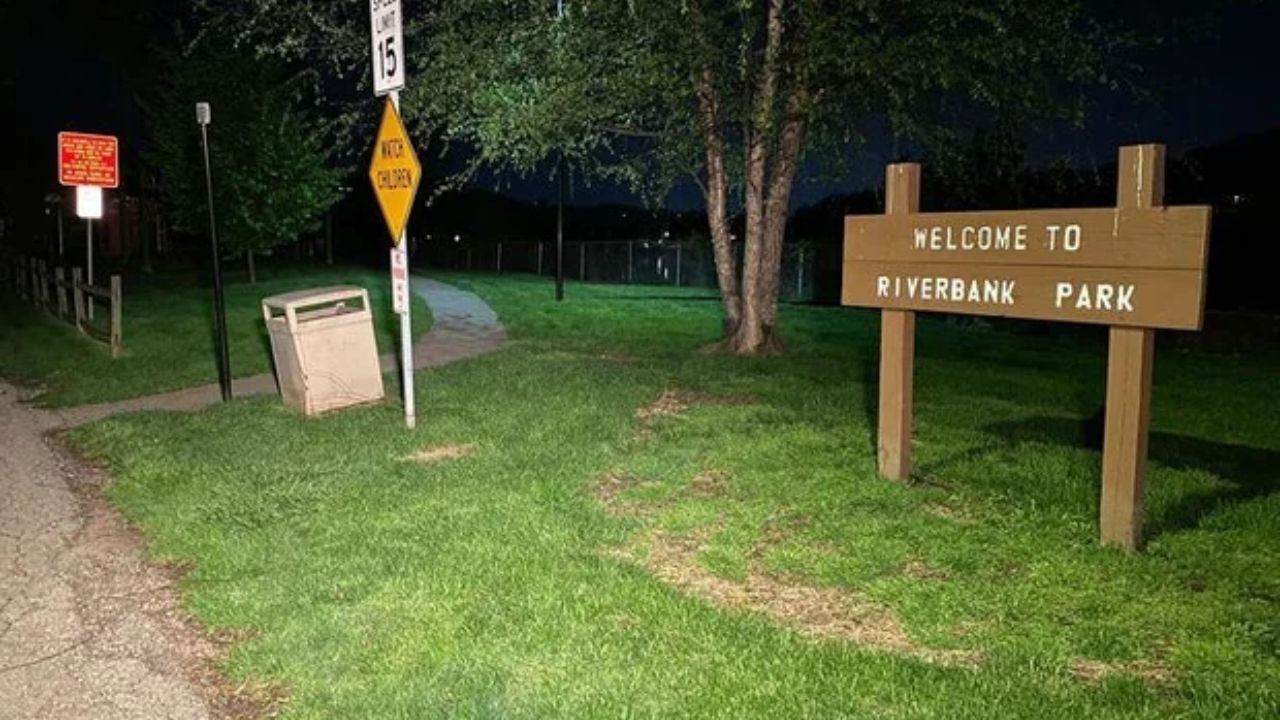 Child Injured, Pet Dog Killed After Dog Attack at Riverbank Park