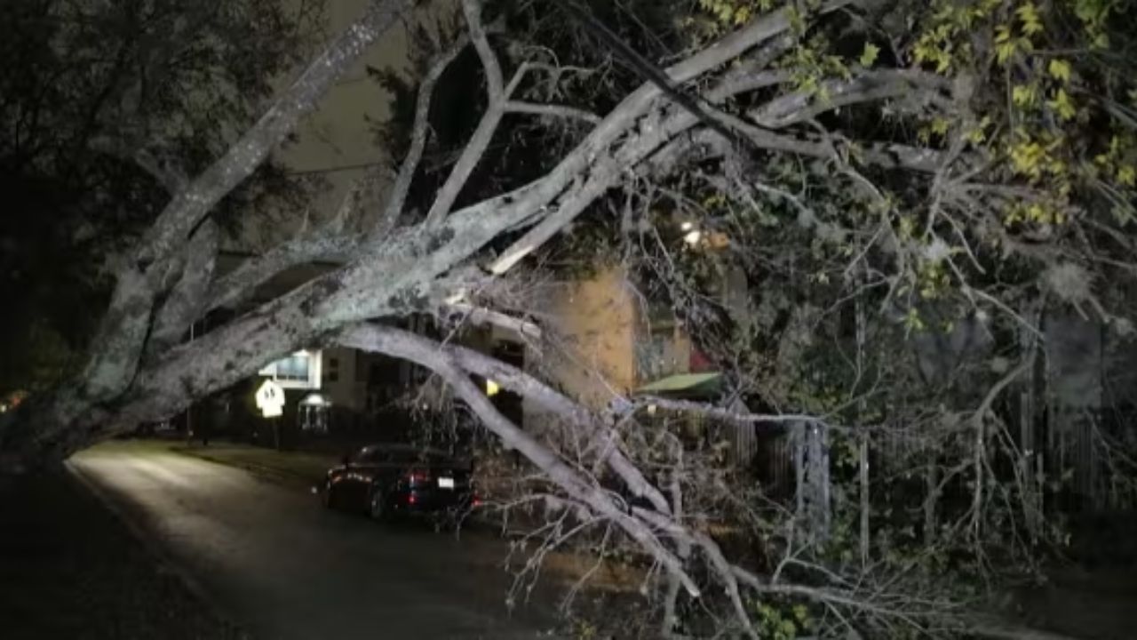 Evening Storms After 5 PM May Bring Falling Tree Limbs, Travel Delays