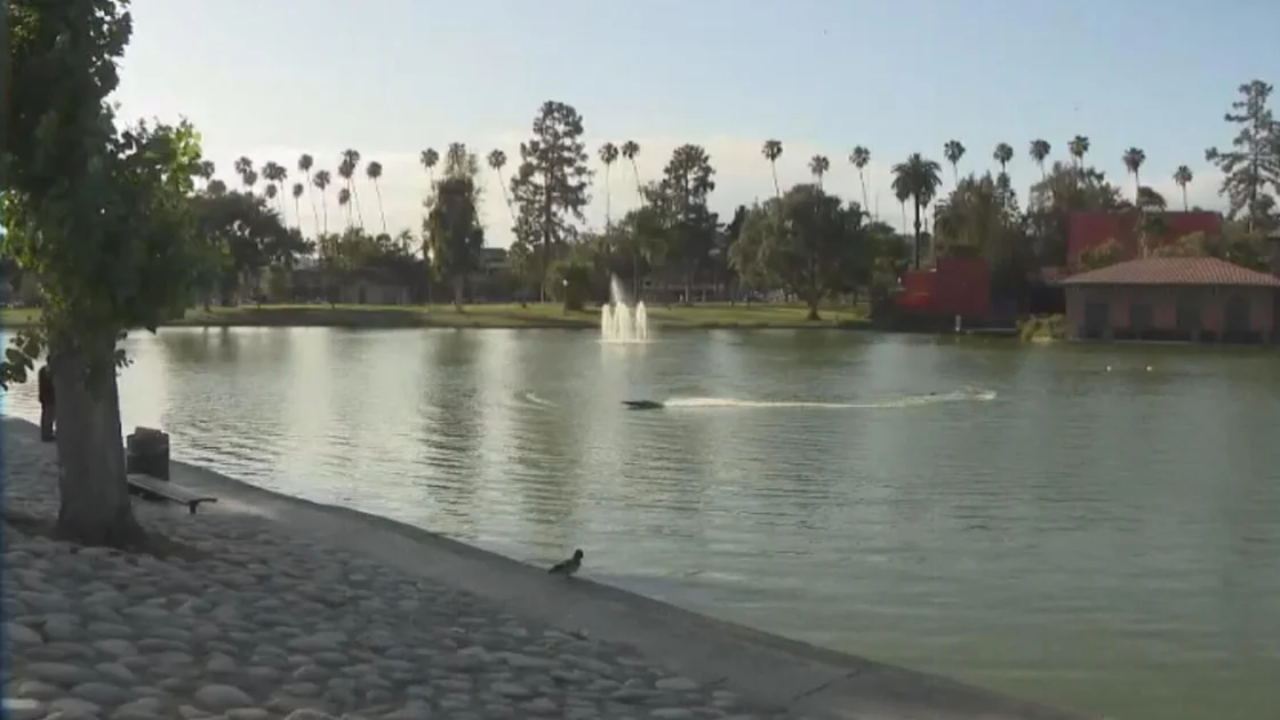 Father Dies While Trying to Save Son from Lincoln Park Lake