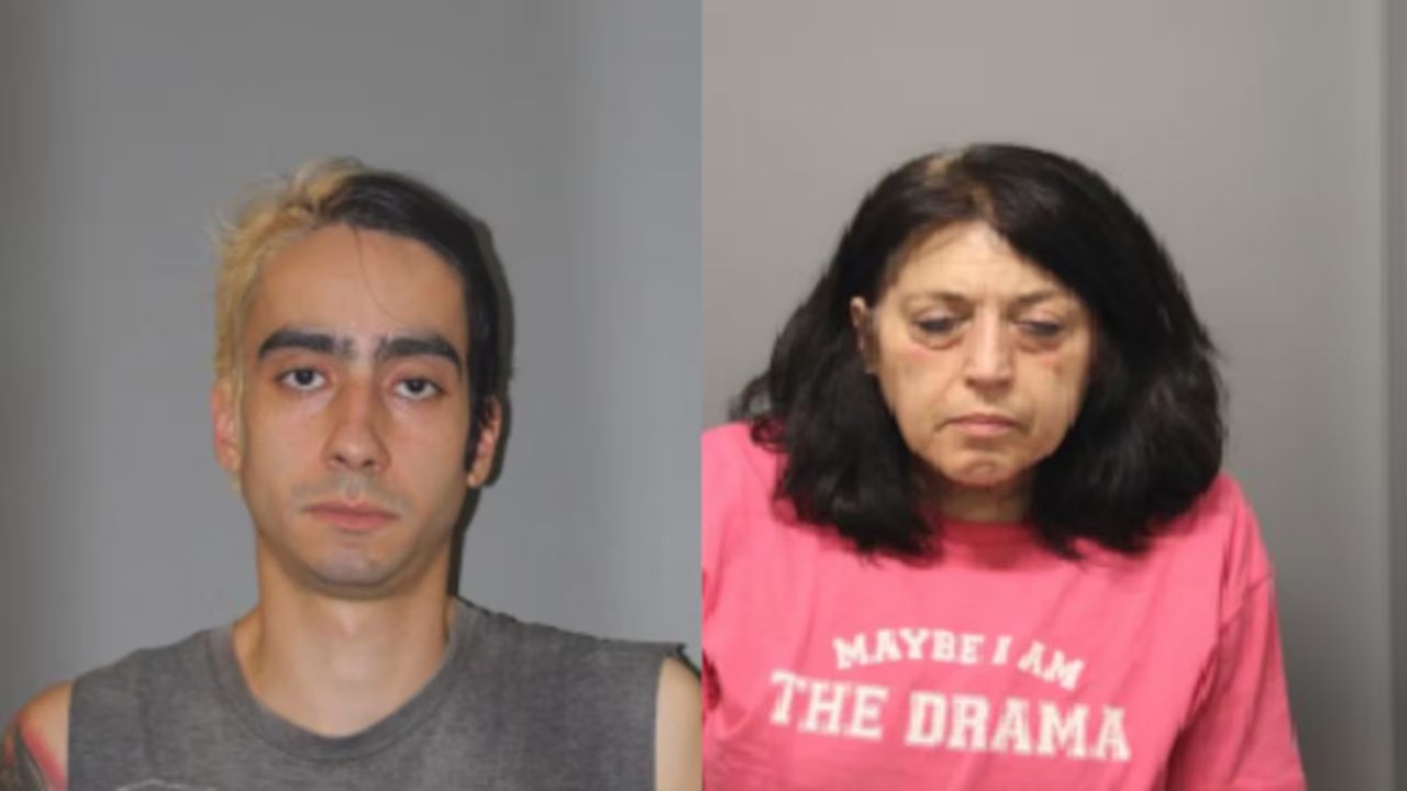 Four Arrested in Drug Bust After Traffic Stop, Police Say
