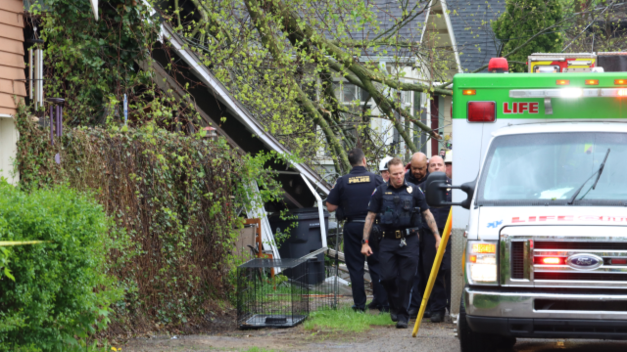 Man Dies After Tree Falls During Thunderstorm, Officials Say