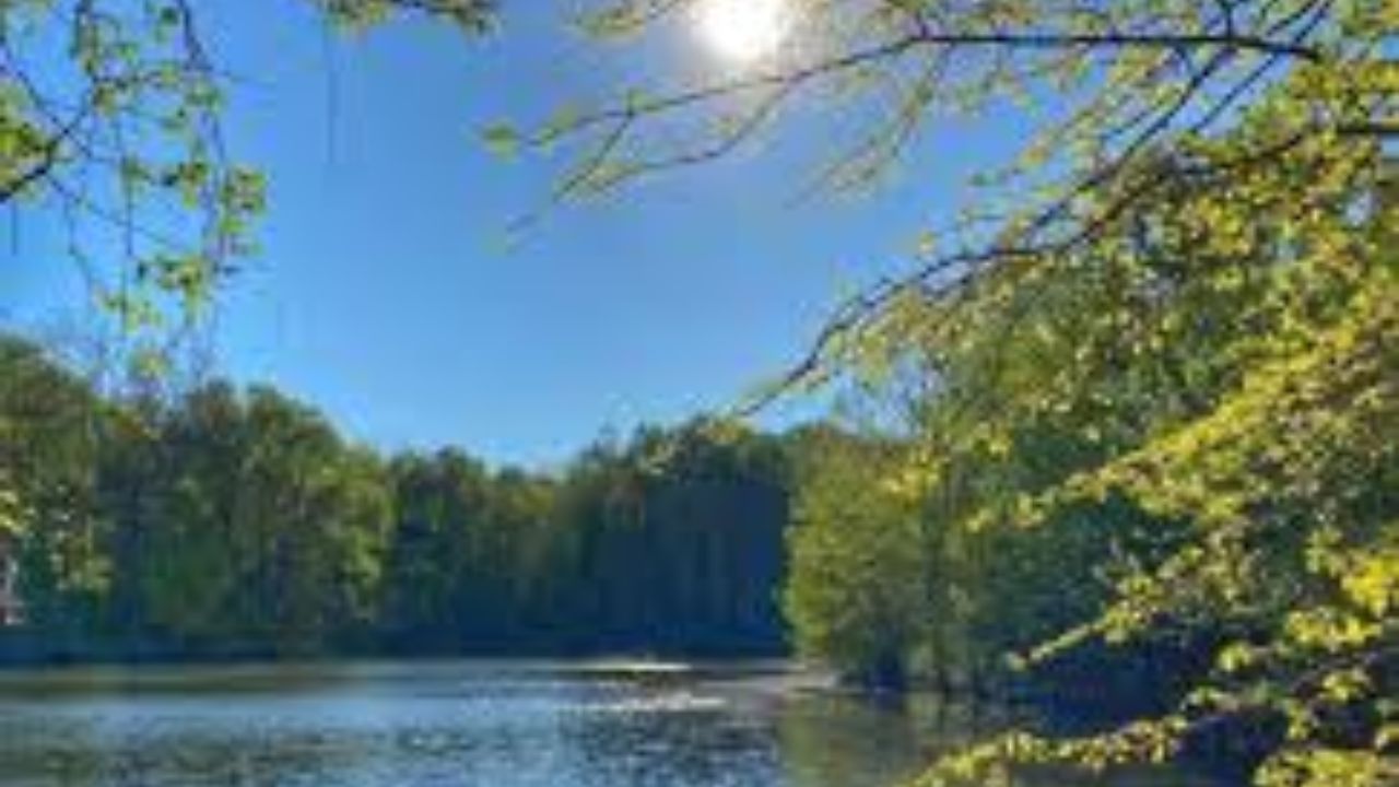 Maryland Weather Alert: Record-Breaking Heat Expected This Week with Fire Risk Concerns