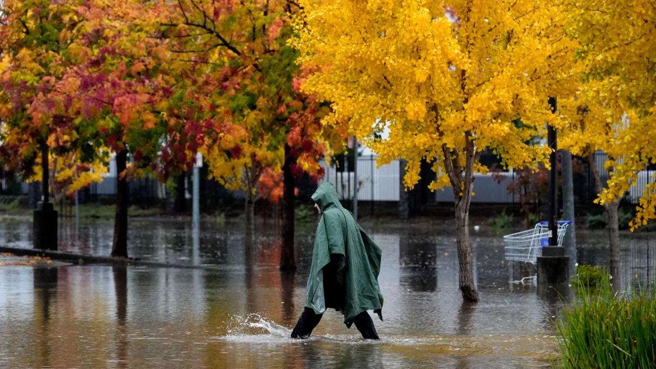 Northern California Faces Rising Fire Risk as March Rainfall Plummets and Temperatures Soar