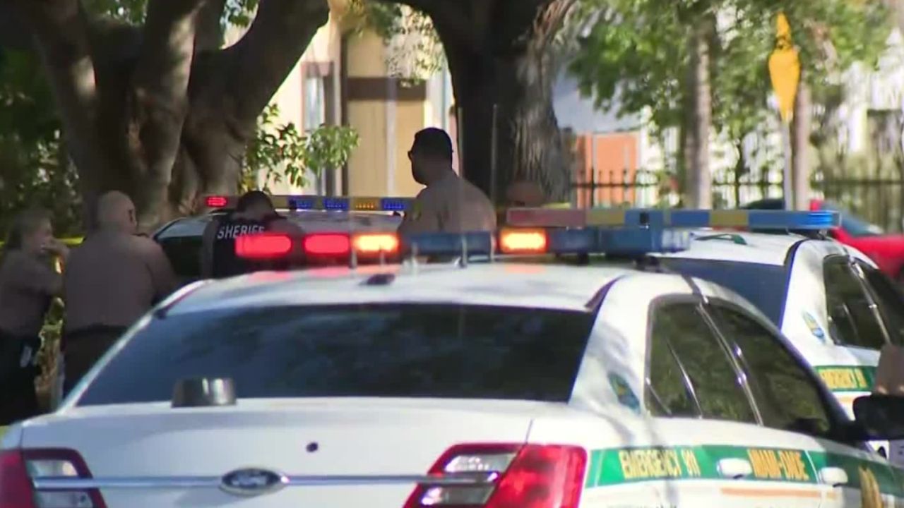 Palmetto Bay, Miami-Dade County: Father, 75, detained after fatal shooting of son during domestic dispute