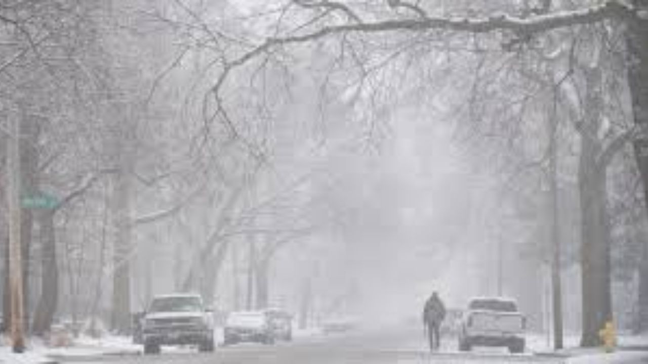 Peoria, Illinois Weather Alert: Frost Risk 35–39°F Could Damage Plants Early Saturday Morning