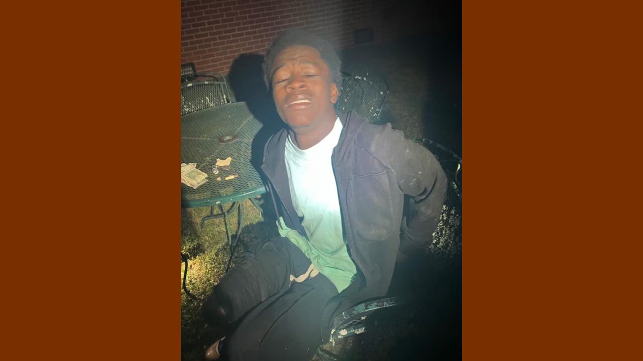Police Chase Ends in Crash, Suspect Arrested After Guns Found in Stolen Vehicle