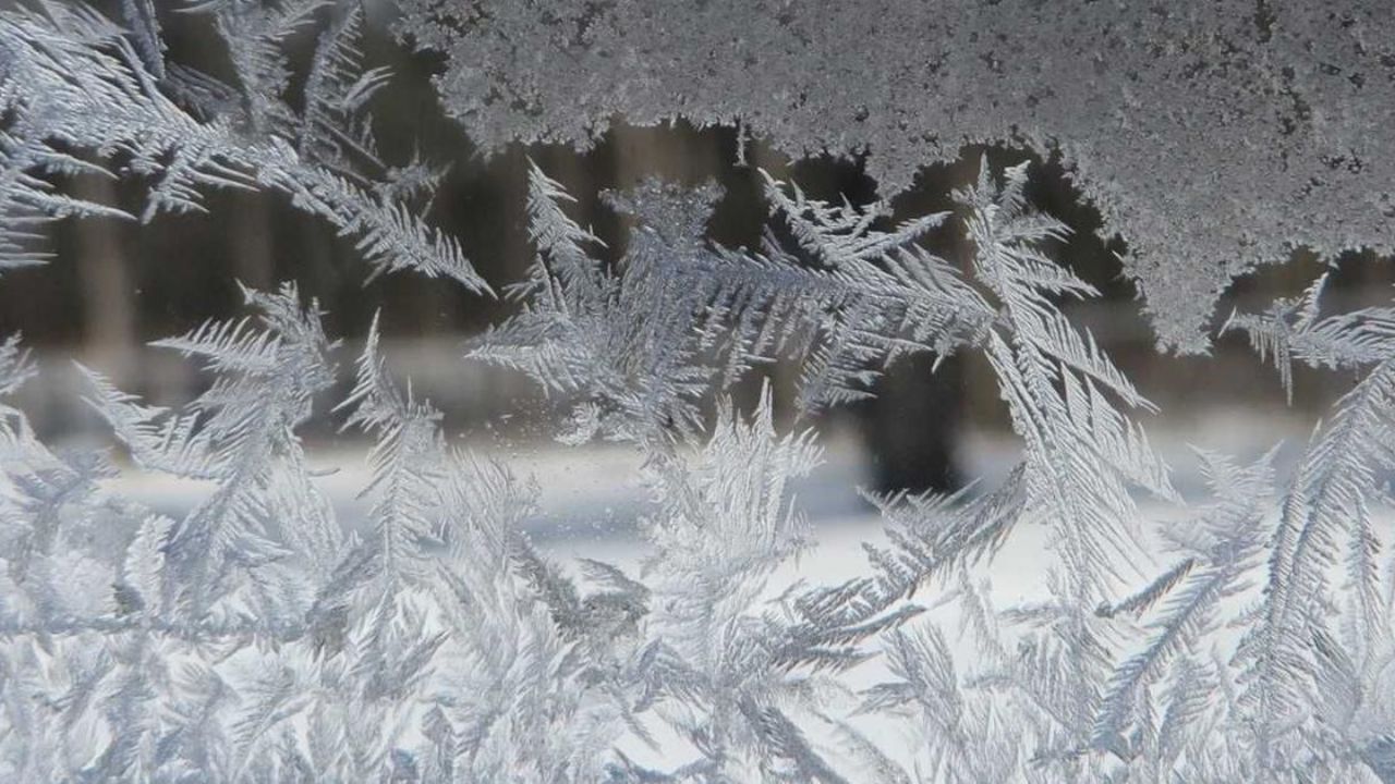 Southeast Michigan Weather Alert: Freeze Warning Overnight, Temperatures to Drop as Low as 23°F