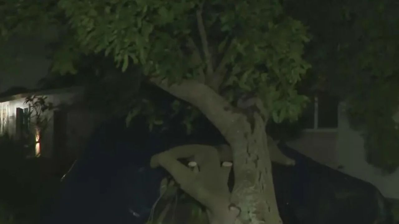 Sudden Storm Ravages Miami-Dade Neighborhood, Leaving Homes Damaged and Cleanup Ahead