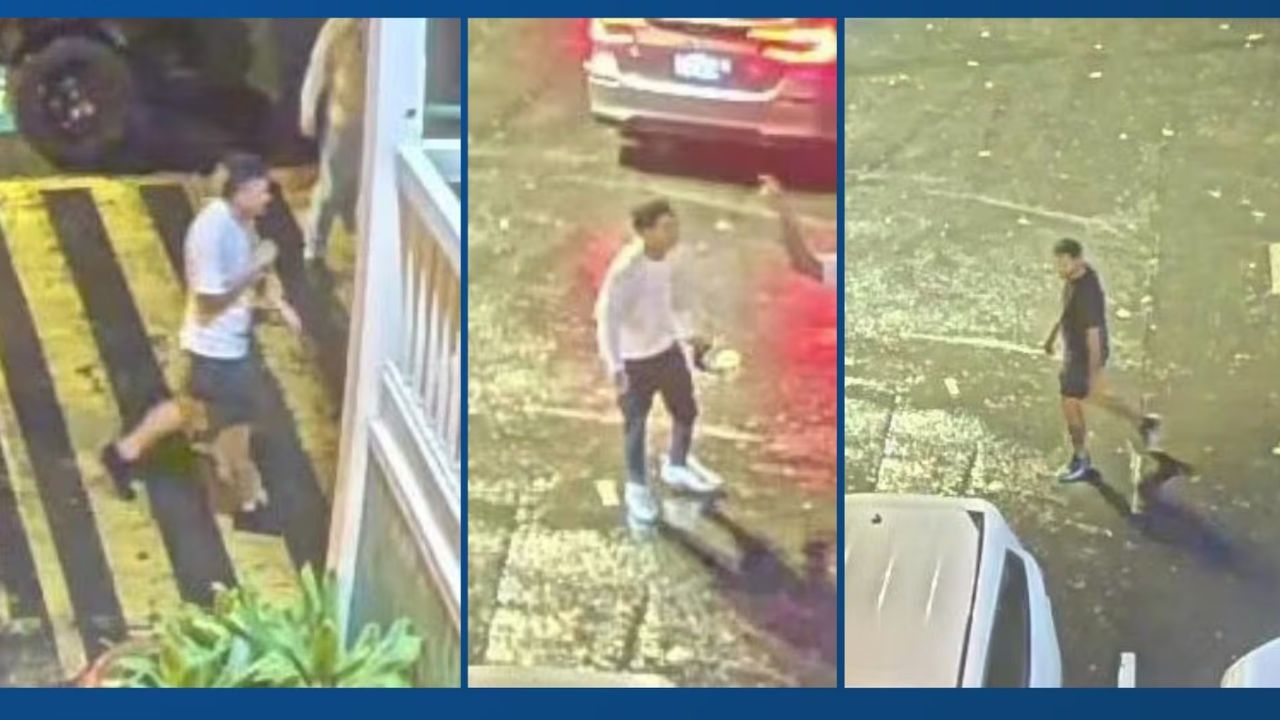 Suspect Charged in Kamehameha Highway Robbery, Bail Set at $250K