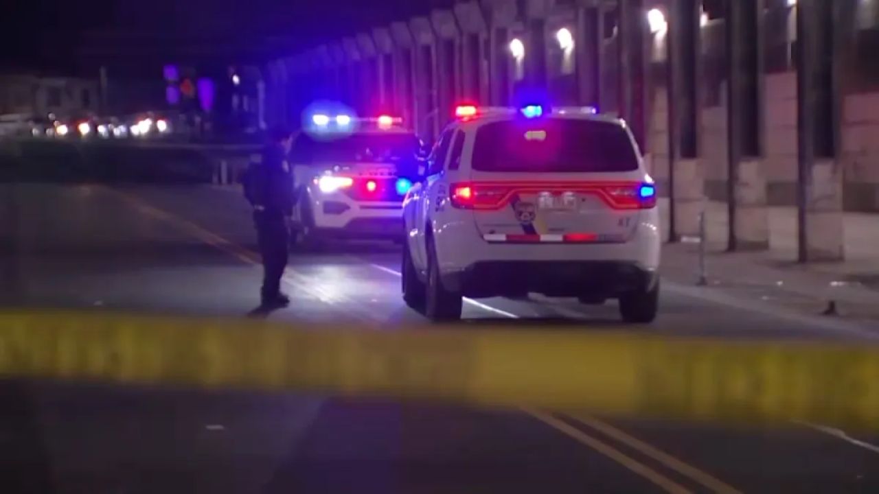 Suspected Driver in Custody After Fatal Port Richmond Hit-and-Run, Police Say