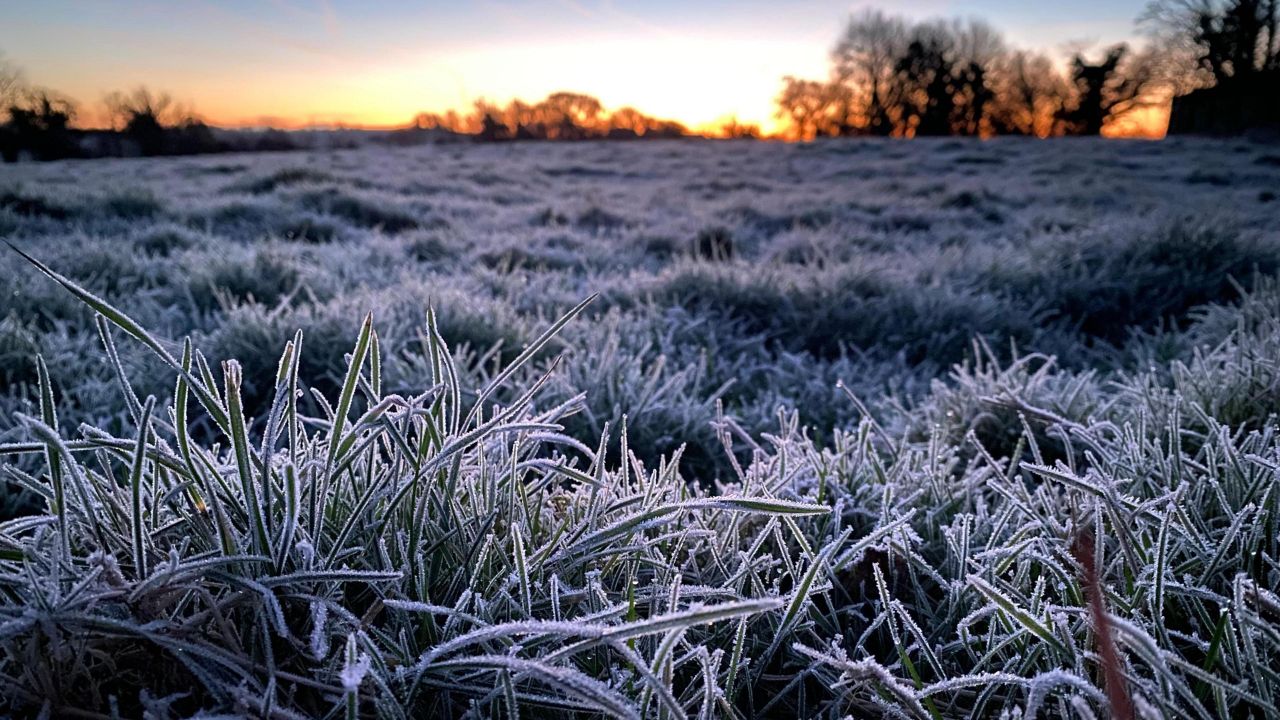 Utah Weather Alert: Sub-Freezing Temps & Frost Risk Set to Hit Salt Lake City Early Friday