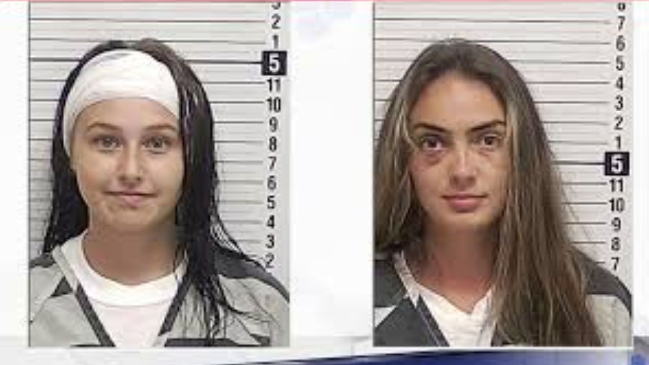 Woman Accused of Biting Off Another Woman’s Ear During Violent Street Fight