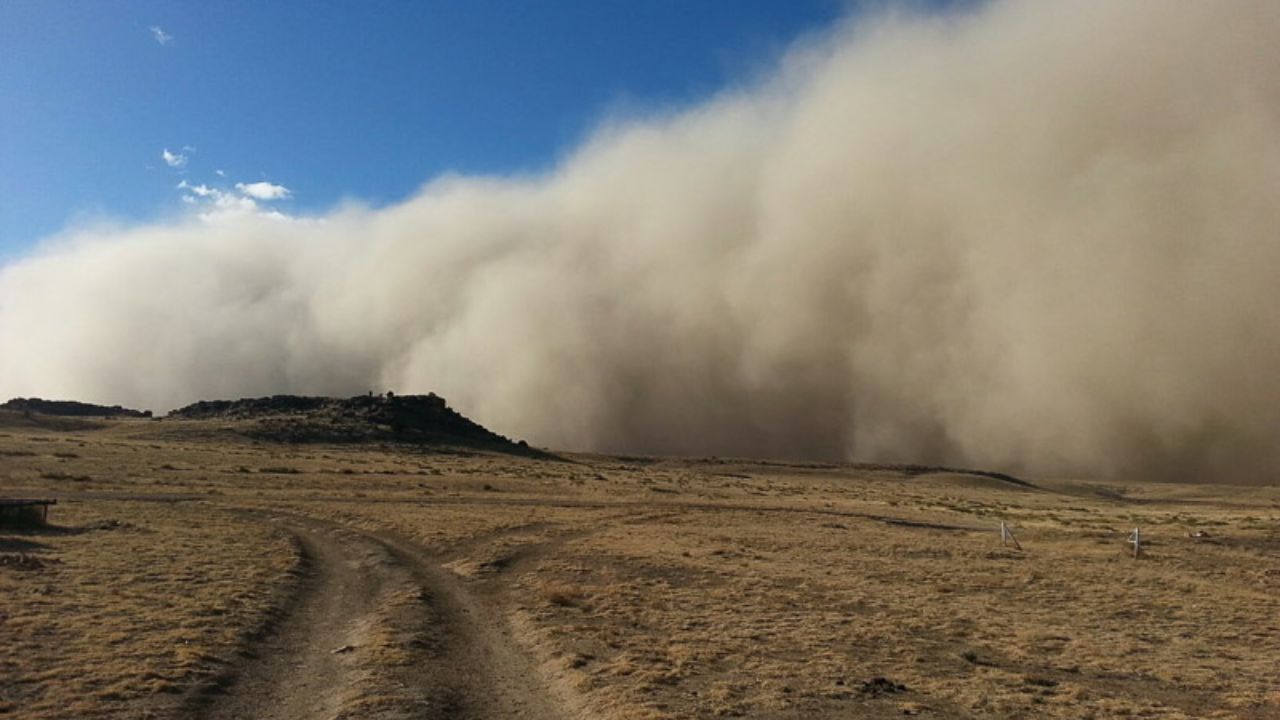 49 MPH Gusts, Blinding Dust, and Near-Zero Visibility — Pendleton Is Under a Dangerous Wind Warning Right Now