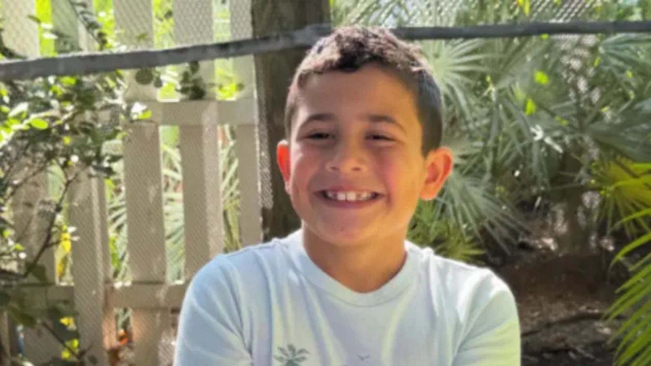 A tree fell on a school playground. A 9-year-old boy did not make it home.