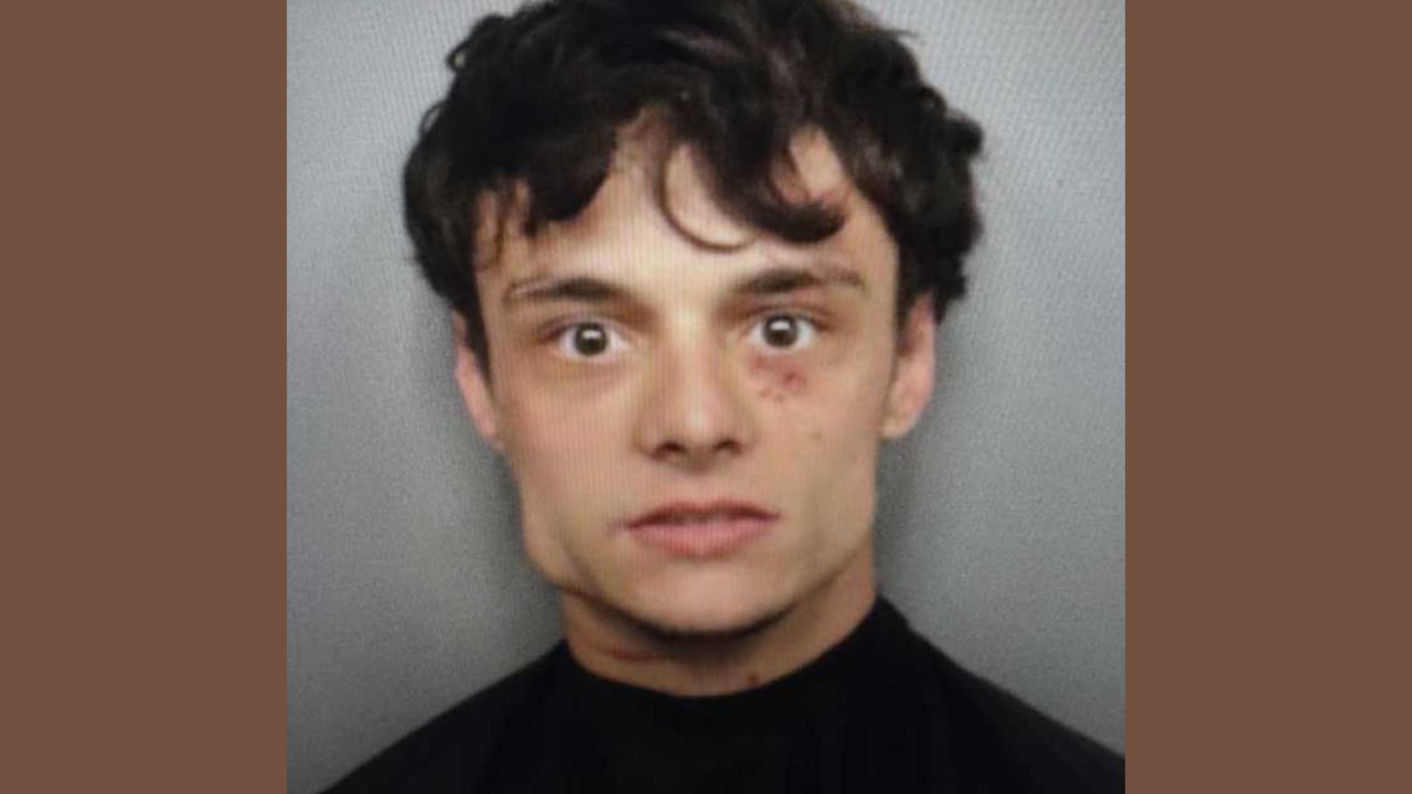 Armed robbery suspect arrested in Greenville after overnight manhunt on Haywood Roadc
