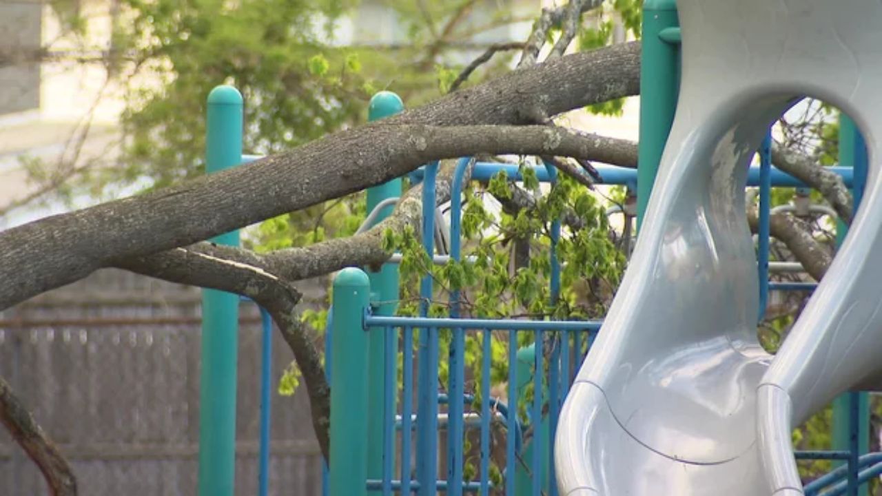 Boy dies after falling tree strikes playground at Melrose, Massachusetts elementary school