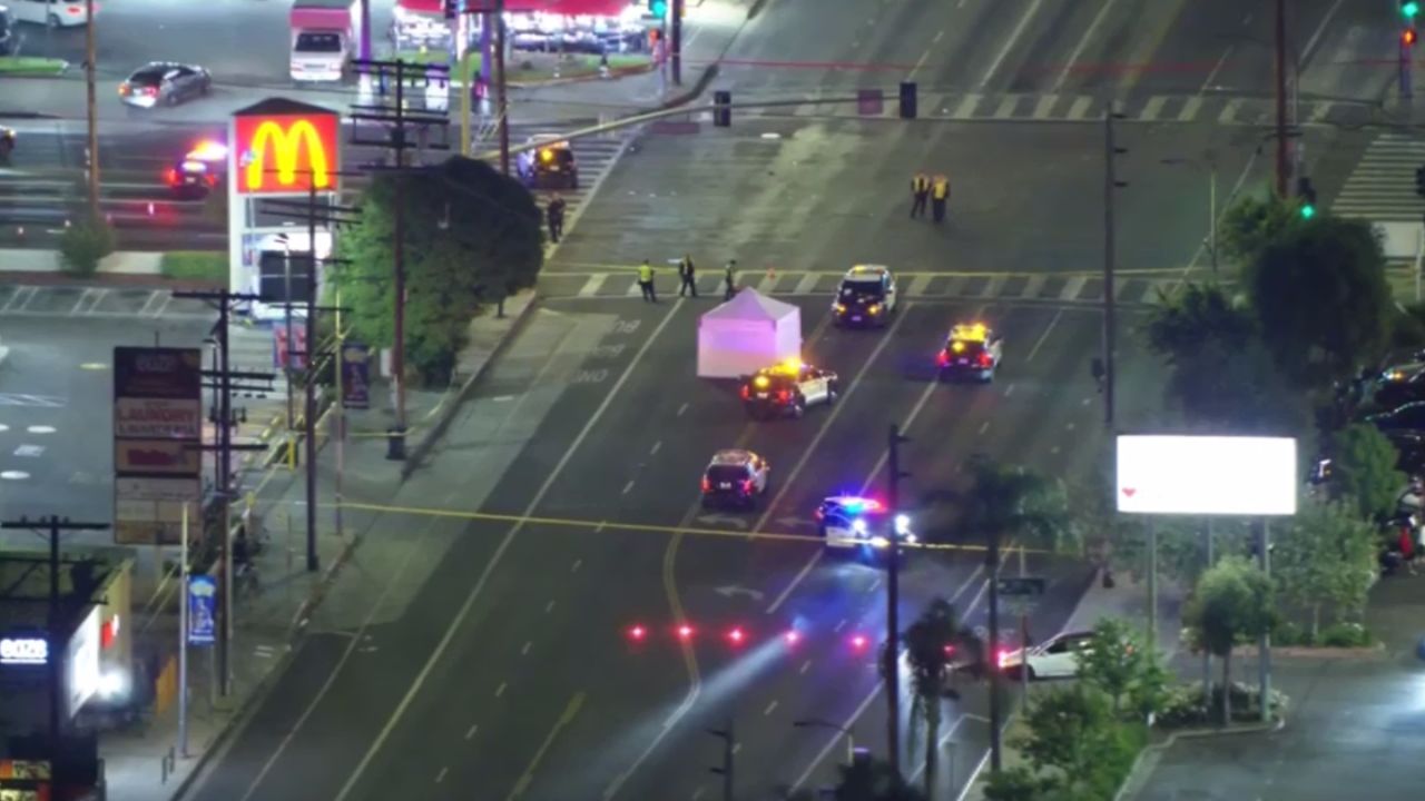 Driver Mowed Down a Pedestrian —Then Vanished Into the Night