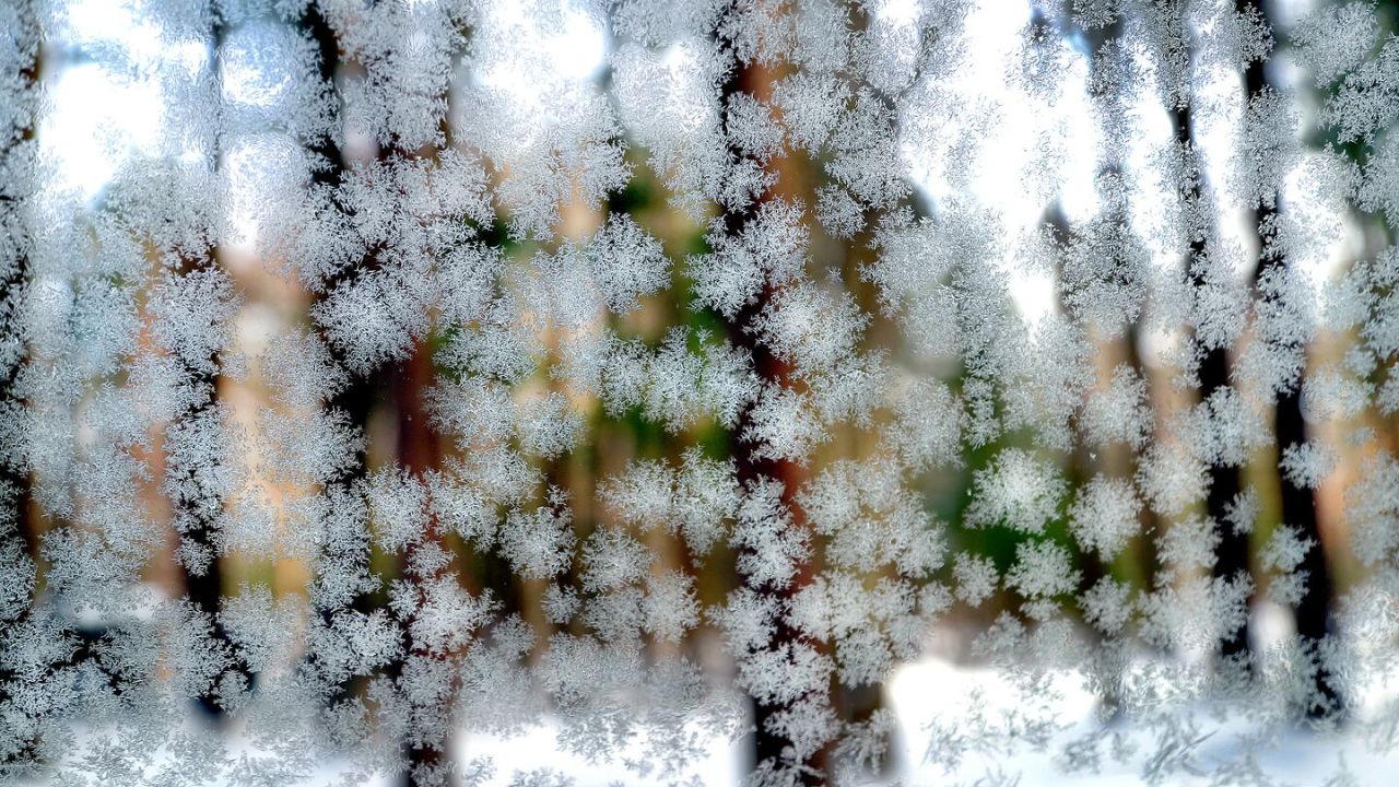 Freeze Warning Tonight: Maine & New Hampshire Residents Must Act Before Midnight