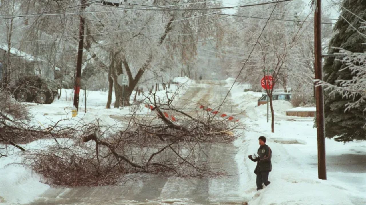 Frost tonight, then an inch of rain — Maine’s week just got complicated