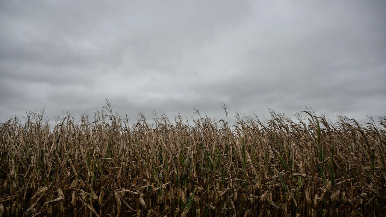 New Jersey Farmers Are Losing Everything After a Freak April Freeze — And It Happened in Just 3 Days