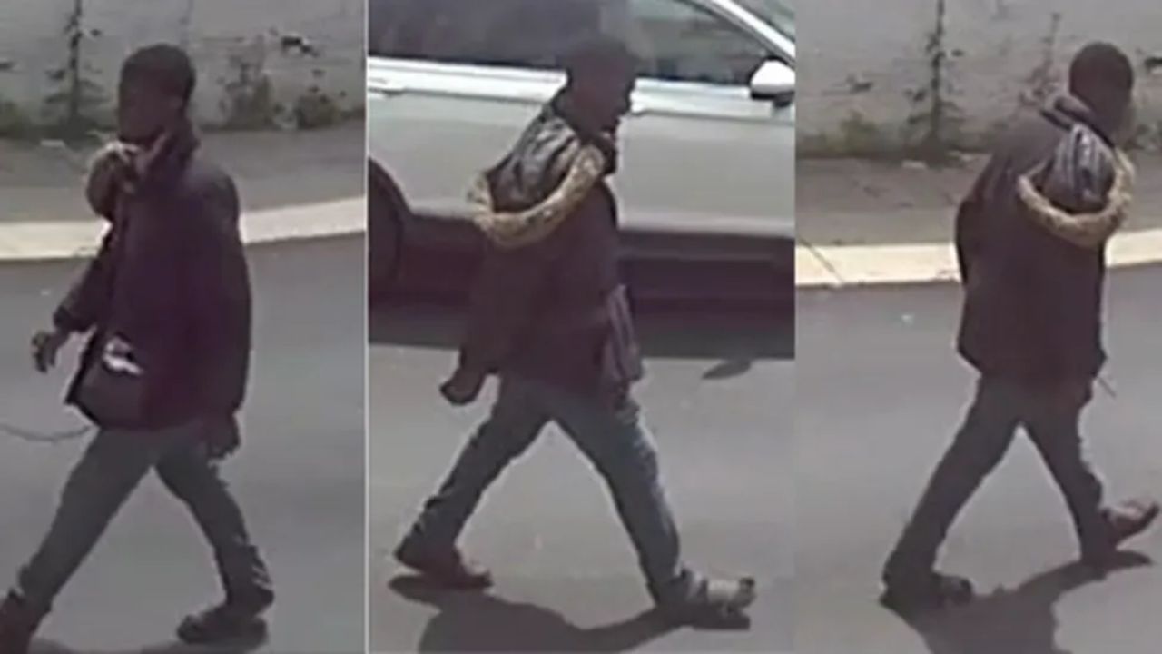 Philadelphia police hunt man who followed and groped a woman in broad daylight in Kensington