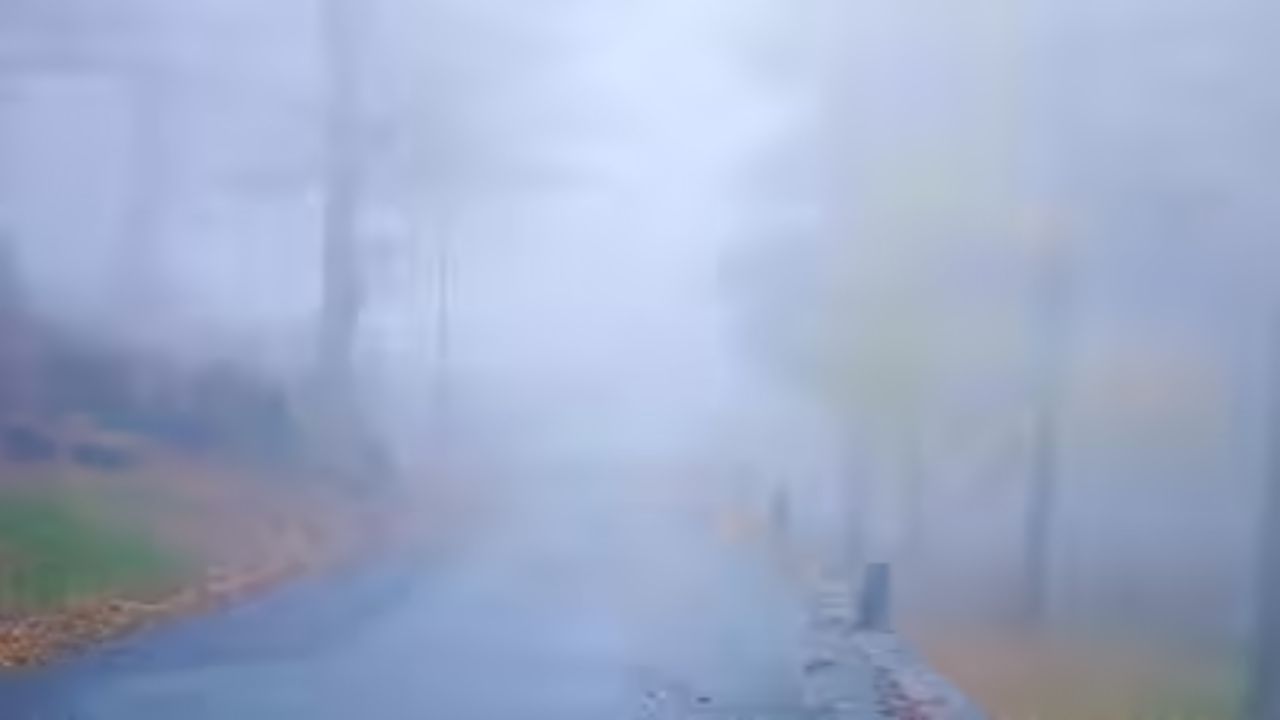 Rain, Thunder, and Fog Ahead — Here's Exactly When Your Weekend Will Be Affected