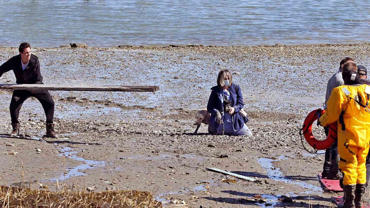 She Took One Wrong Step on an Olympia Beach — Firefighters Had Minutes to Save Her Life